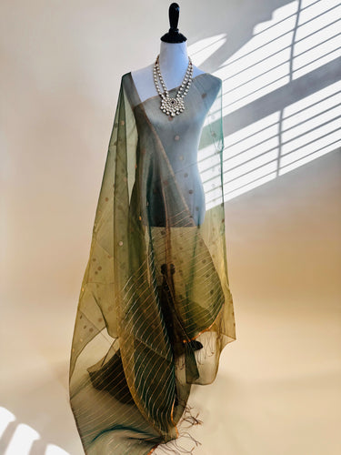 Nia - ShopNaya Exclusive | Handwoven | Silk Organza | Metallic Colors | Gold Zari | Ships from California